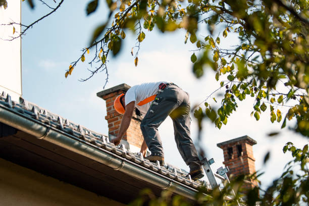 Best Storm Damage Roof Repair  in Posen, IL